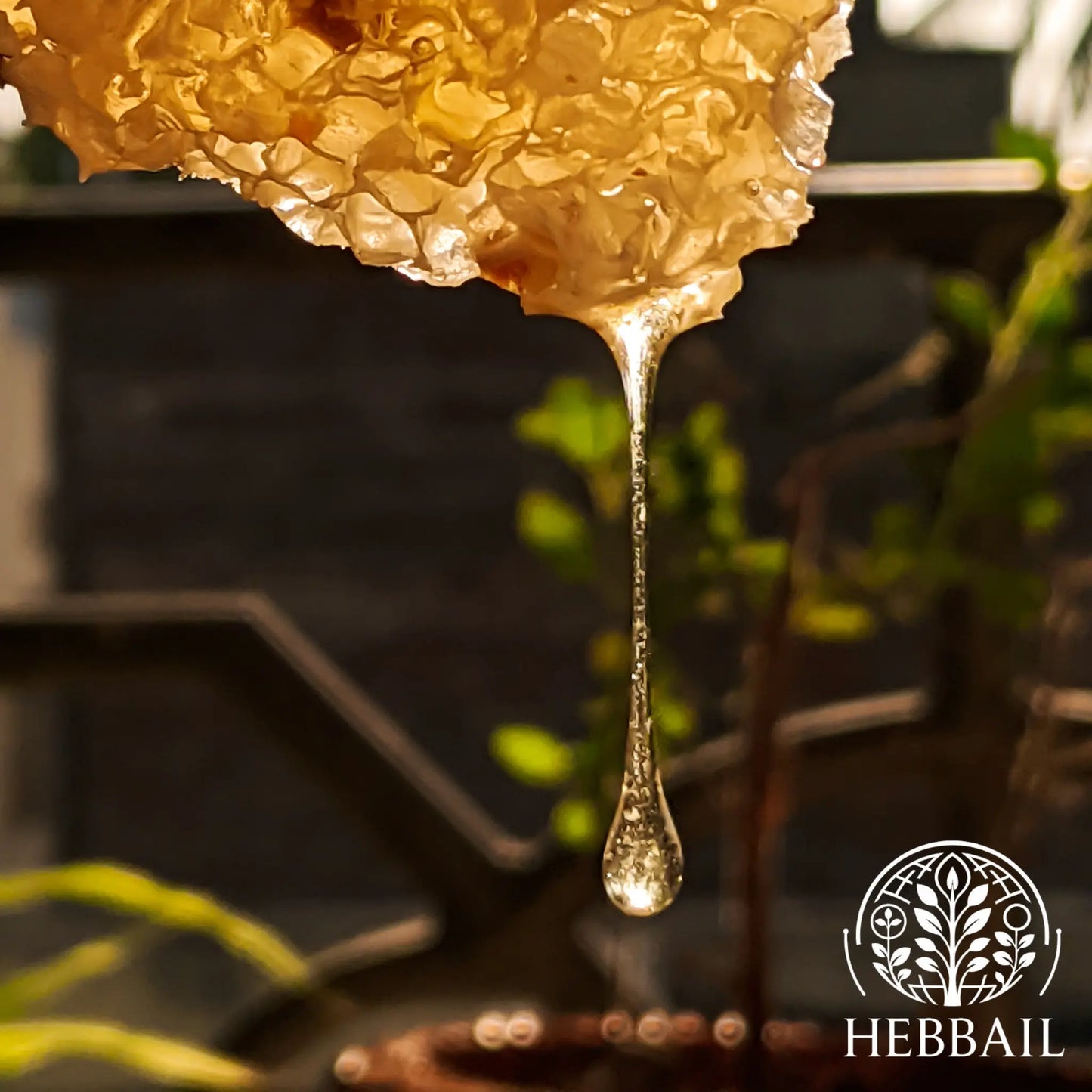 HEBBAIL Natural Tuduve Honey  | 100% Pure, Raw & Unprocessed Hebbail